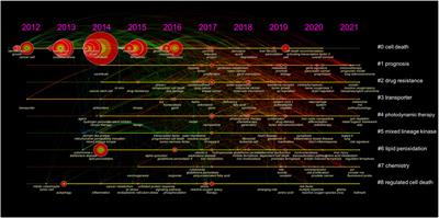 The Research Landscape of Ferroptosis in Cancer: A Bibliometric Analysis